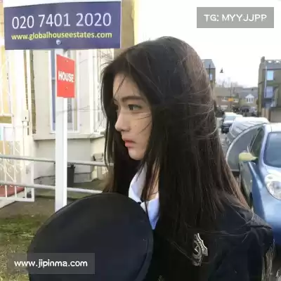 司达蕾